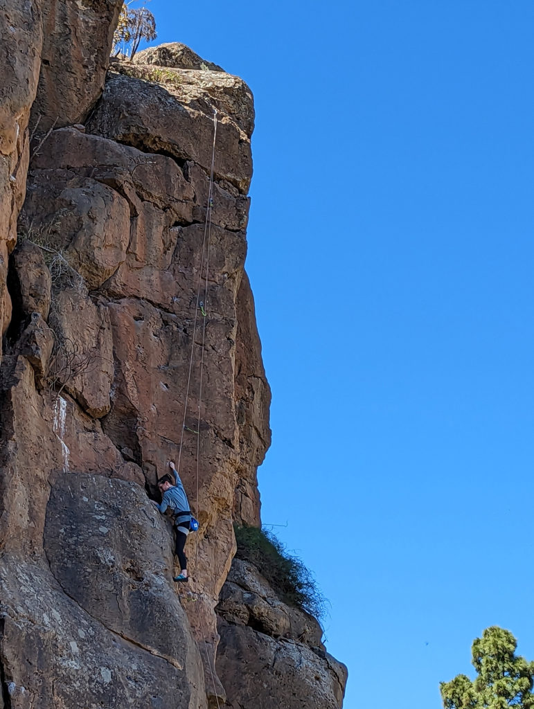 Ténérife - Grandes Canaries