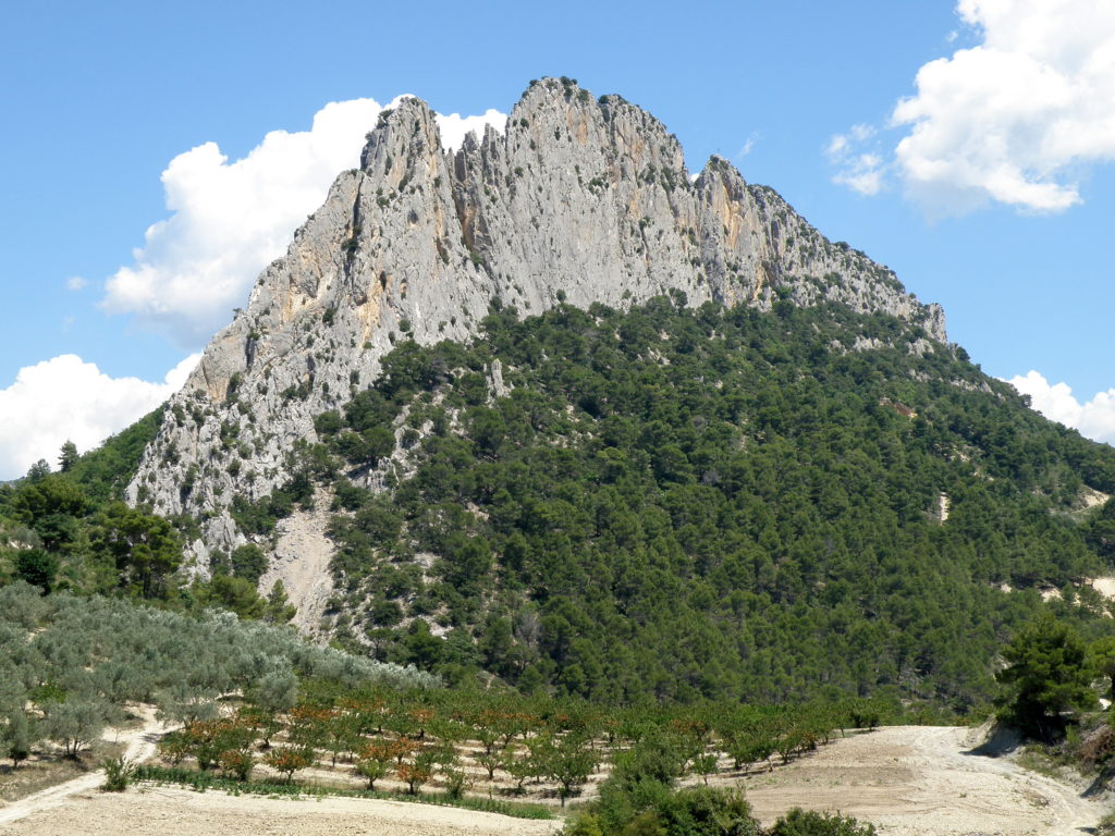 Escalade sur les falaises de Buis-les-Baronnies